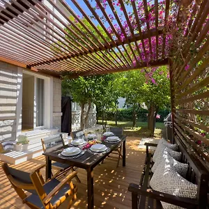 Guest house Villa Central